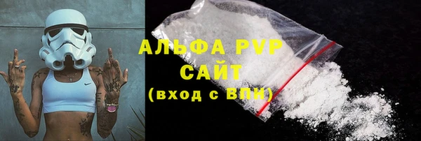 трава Осинники
