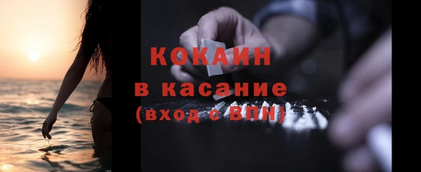 трава Осинники