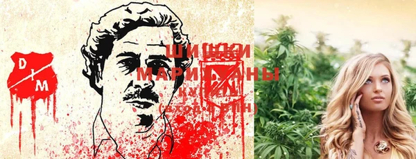 трава Осинники