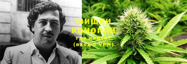 трава Осинники