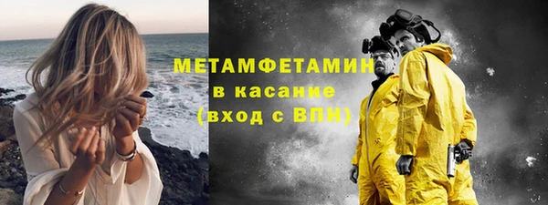 трава Осинники